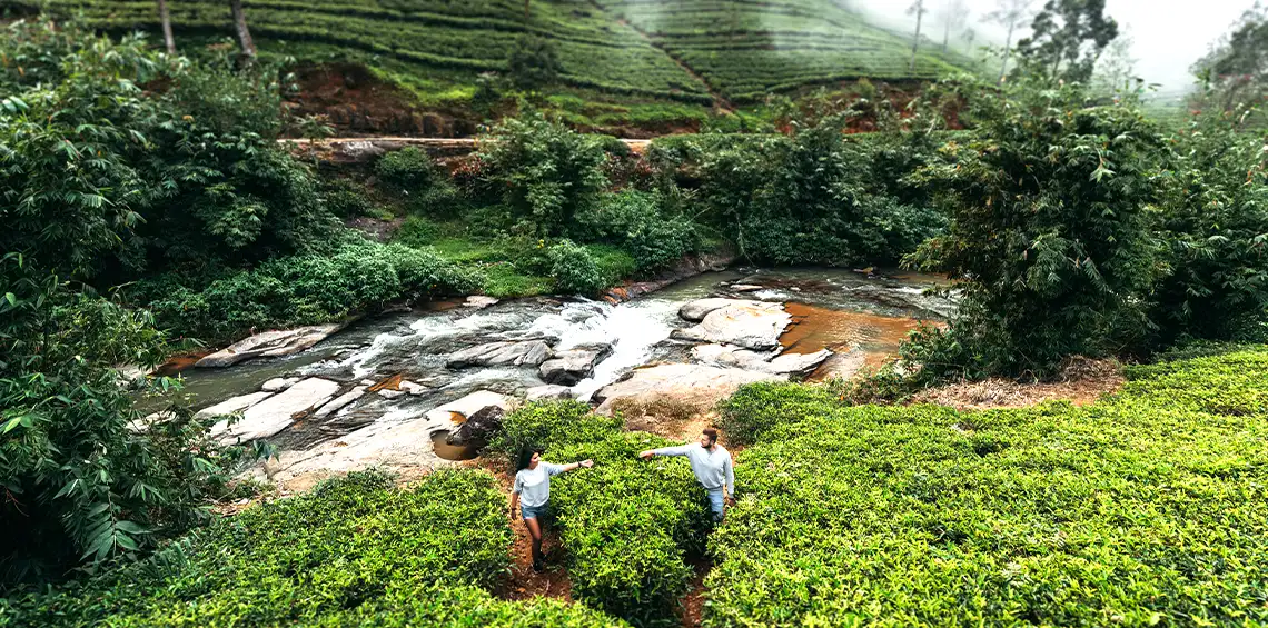 Romantic Honeymoon Tours in Sri Lanka 9